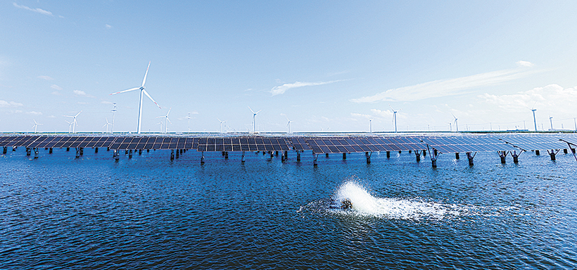 主稿配圖--“漁光一體”項目是通威集團在光伏農(nóng)業(yè)的創(chuàng)新嘗試.jpg