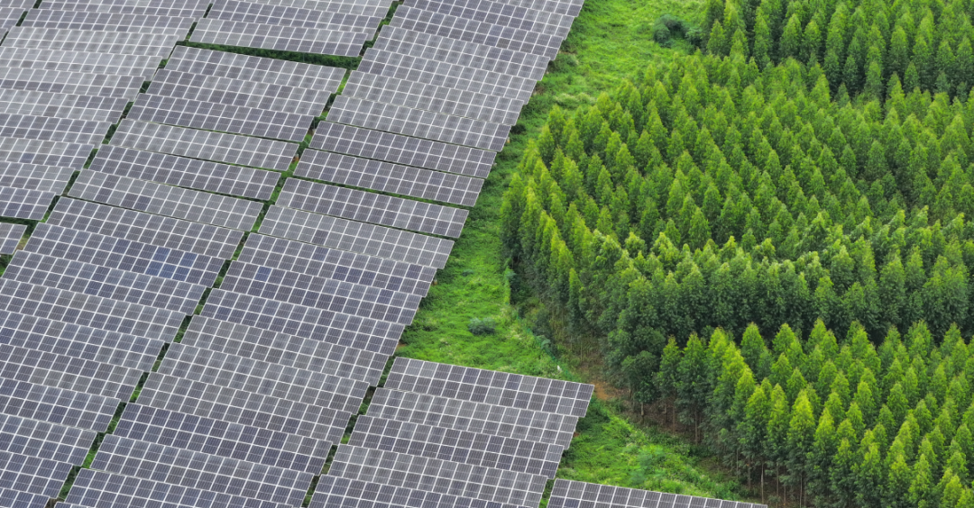 28ee6bc61069c3686913ab47e3eeb6c9.png 28ee6bc61069c3686913ab47e3eeb6c9.png