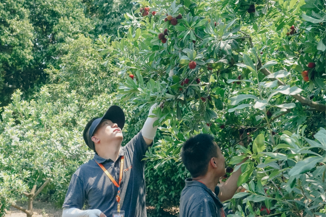 acd8949c41b505ff1ce39d4cbe8cef5f.jpg acd8949c41b505ff1ce39d4cbe8cef5f.jpg