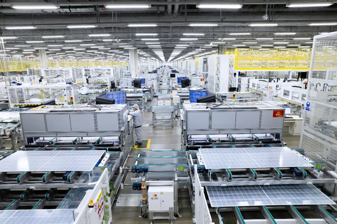 8dafbeff404ad96c78805bf304a6e64f.jpg 8dafbeff404ad96c78805bf304a6e64f.jpg