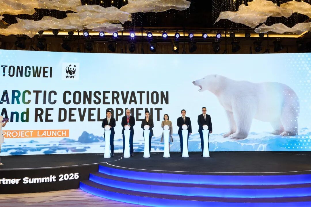 202e54ec5b45470d8c818e9a6dd21705.jpg 202e54ec5b45470d8c818e9a6dd21705.jpg