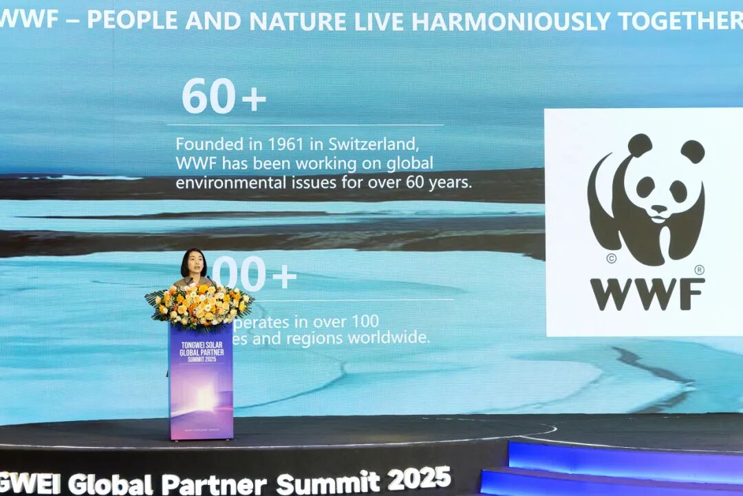 ed19094eb8a4a3bd841340950fdda067.jpg ed19094eb8a4a3bd841340950fdda067.jpg